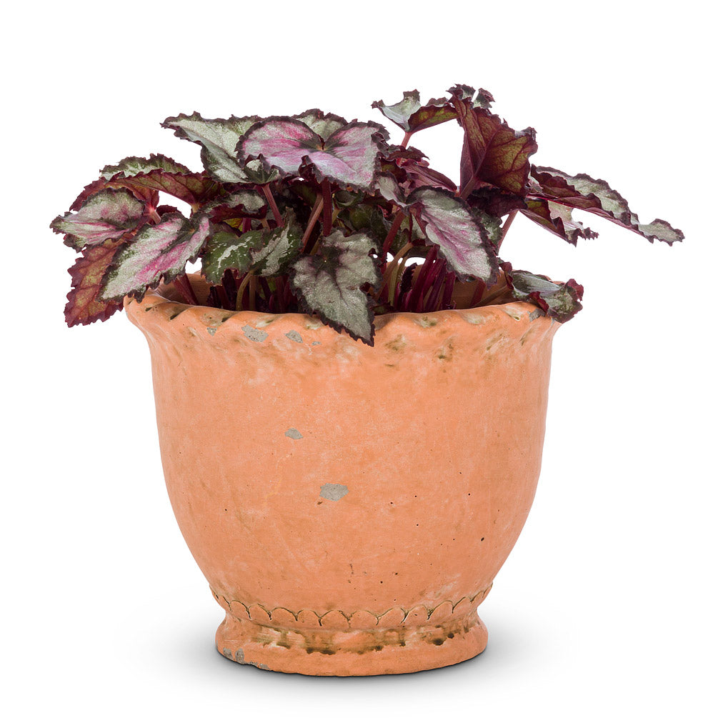 Round Ruffled Planter - Small 5"H