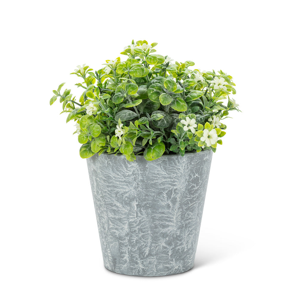 White Flowering Plant Pot | Putti Fine Furnishings 