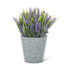 Lavender Plant Pot | Putti Fine Furnishings