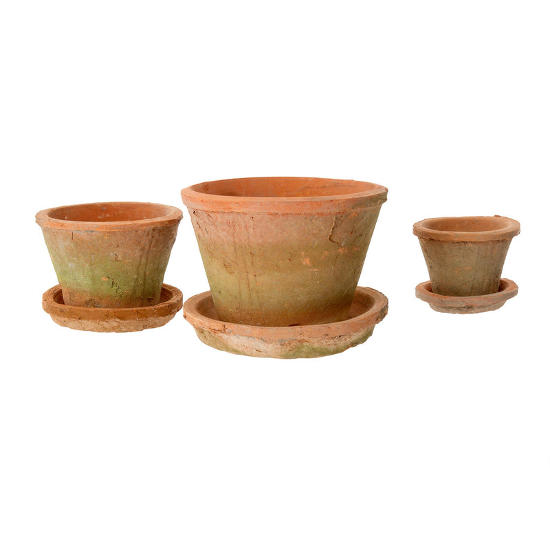 Aged Clay Cactus Pot and  Saucer - Antique Redstone
