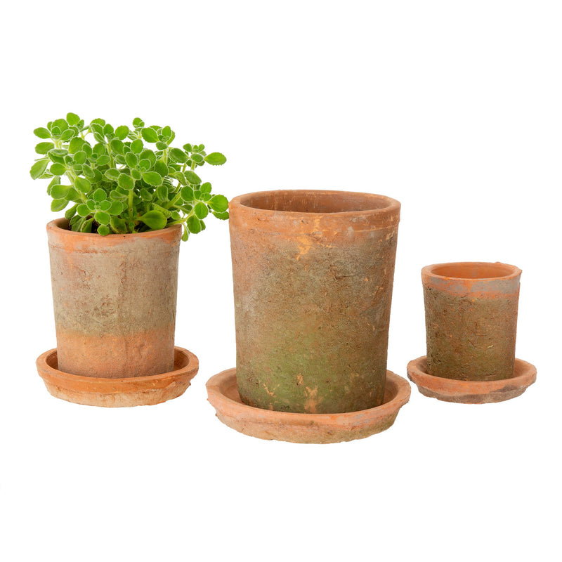 Aged Clay Cylinder Pot + Saucer - Antique Redstone