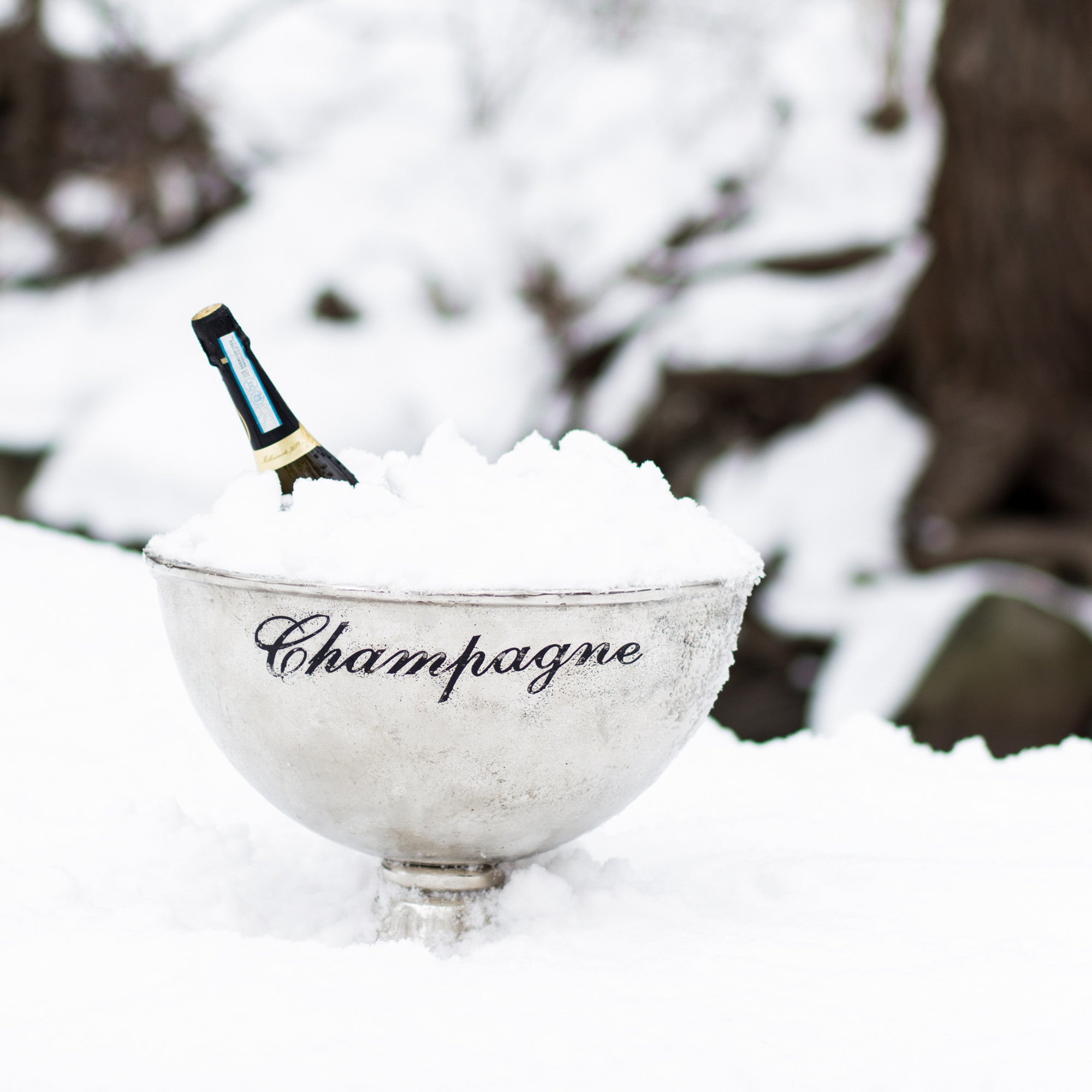 Large "Champagne" Pedestal Bowl -  Serving Pieces - AC-Abbott Collection - Putti Fine Furnishings Toronto Canada - 3