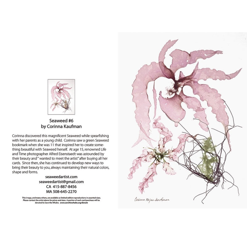 Seaweed Artist - Seaweed Art Greeting Cards Design #6
