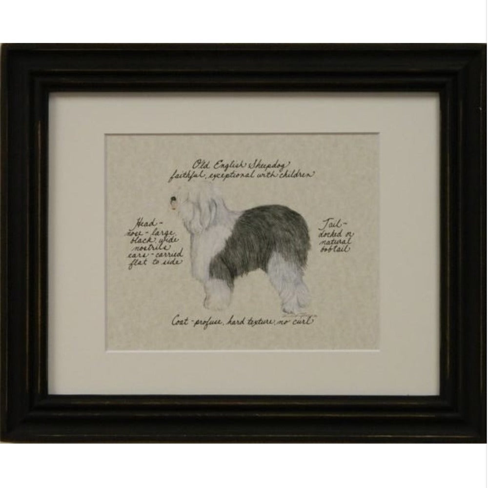 "Old English Sheepdog" Dog Breeds Framed Print | Putti Fine Furnishings 