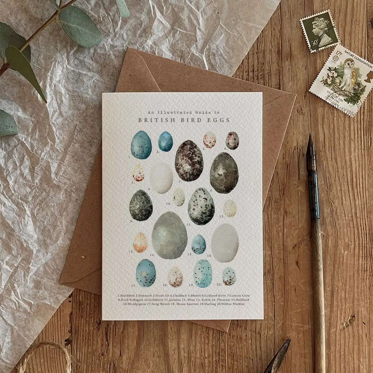 British Bird Eggs Greeting Card
