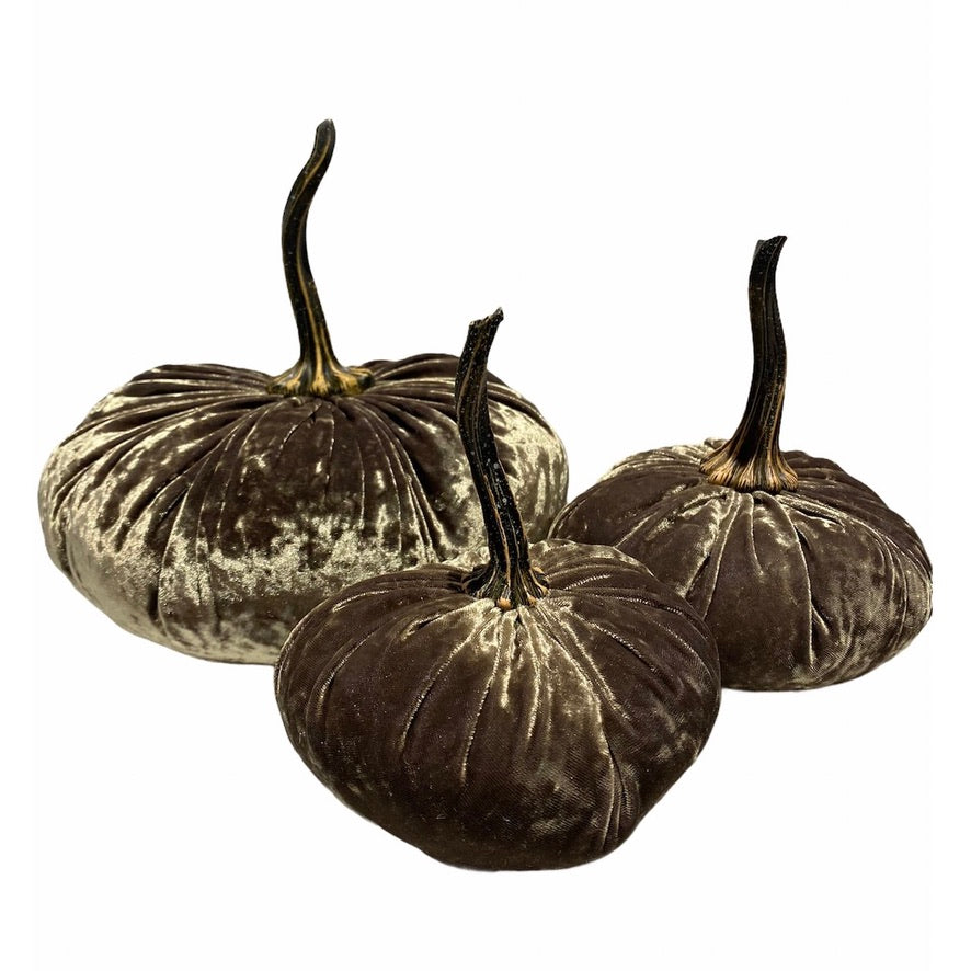 Small Velvet Pumpkin - Luxe Moss | Putti Fine Furnishings Canada
