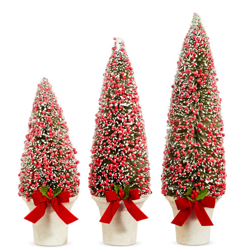 Potted Bottle Brush Trees with Red Berries