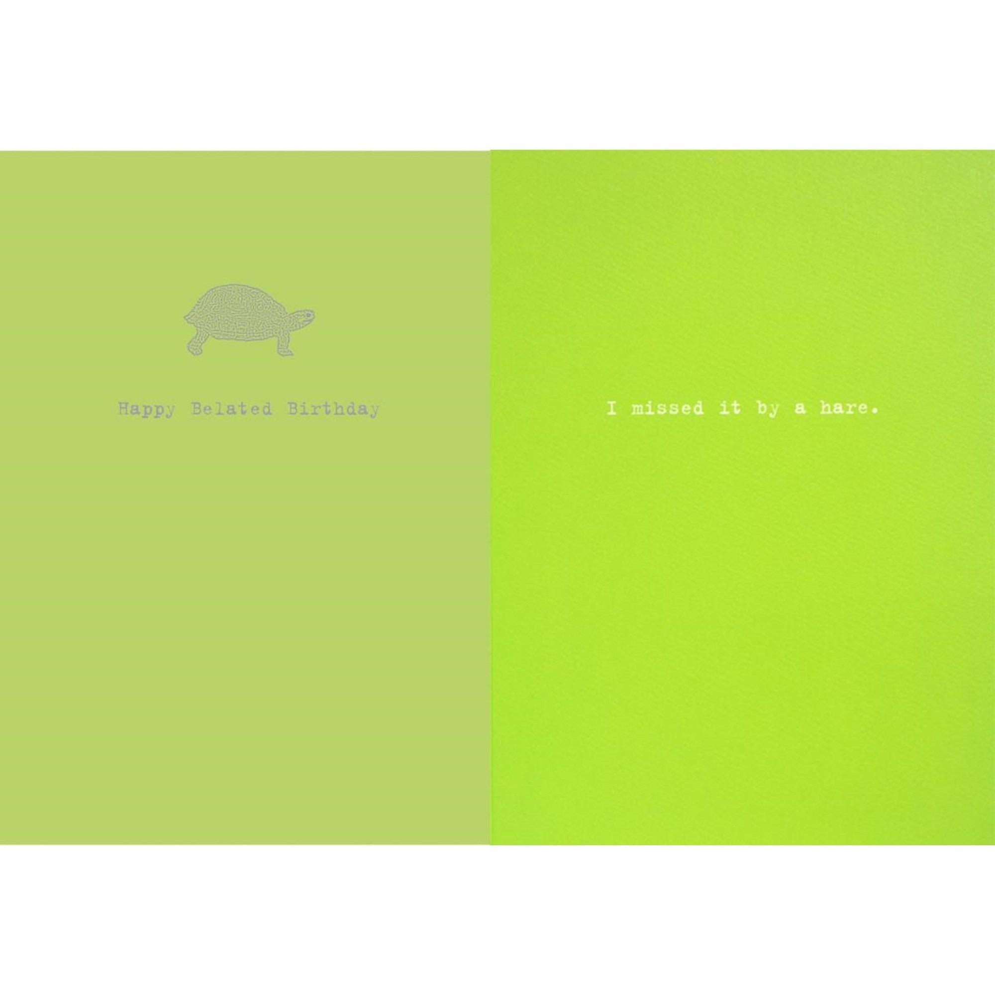 "Happy Belated Birthday ...I Missed it by a Hare" Turtle Greeting Card, Bella Flor, Putti Fine Furnishings