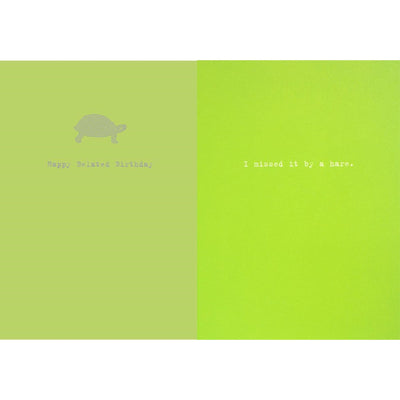 "Happy Belated Birthday ...I Missed it by a Hare" Turtle Greeting Card, Bella Flor, Putti Fine Furnishings