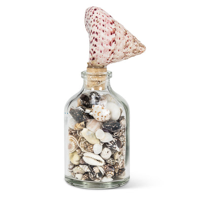 Small Bottle With Shell Stopper - Putti Fine Furnishings Canada