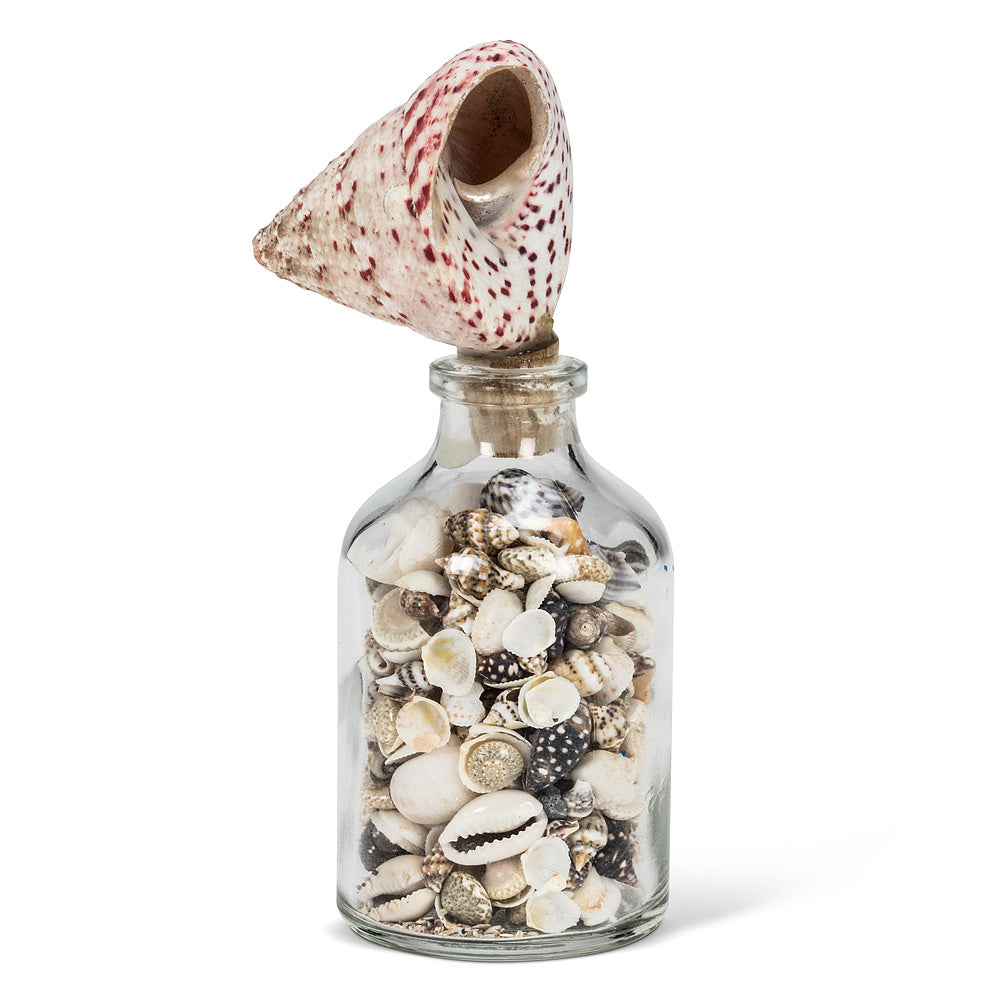 Small Bottle With Shell Stopper - Putti Fine Furnishings Canada