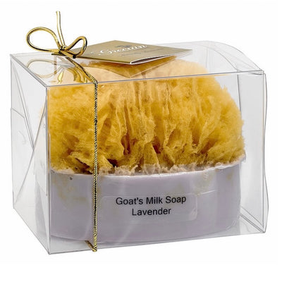 Goats Milk & Olive Oil Soaps with Sea Sponge - Lavender | Putti Canada
