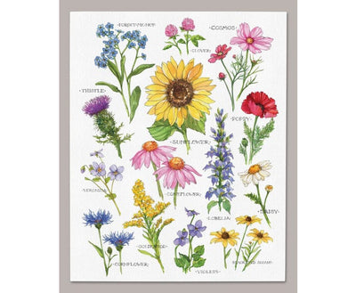 Wildflower Study Canvas Artwork