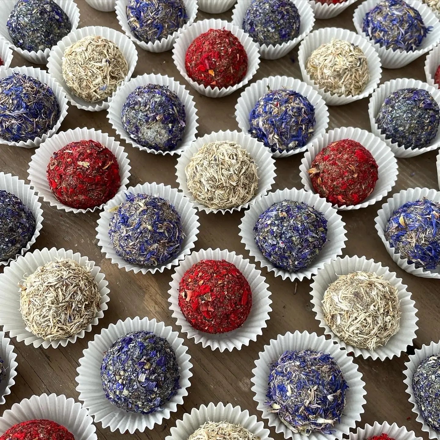 Seed Bomb Bon Bon's Gift Box