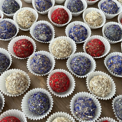 Seed Bomb Bon Bon's Gift Box