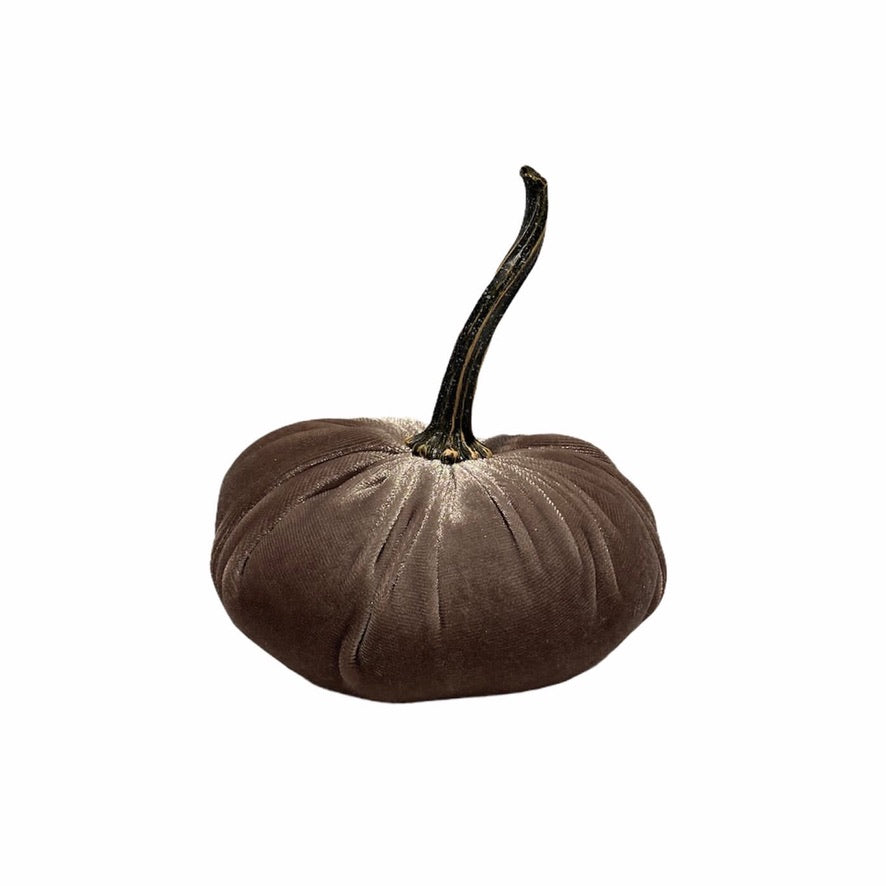 Small Velvet Pumpkin -Taupe | Putti Fine Furnishings Canada