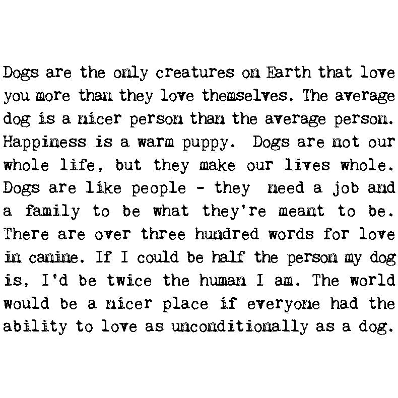 Coulson Macleod Dog Lover Foiled Birthday Card | Putti Fine Furnishings