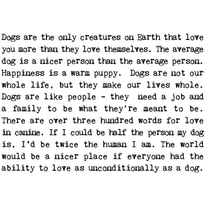 Coulson Macleod Dog Lover Foiled Birthday Card | Putti Fine Furnishings