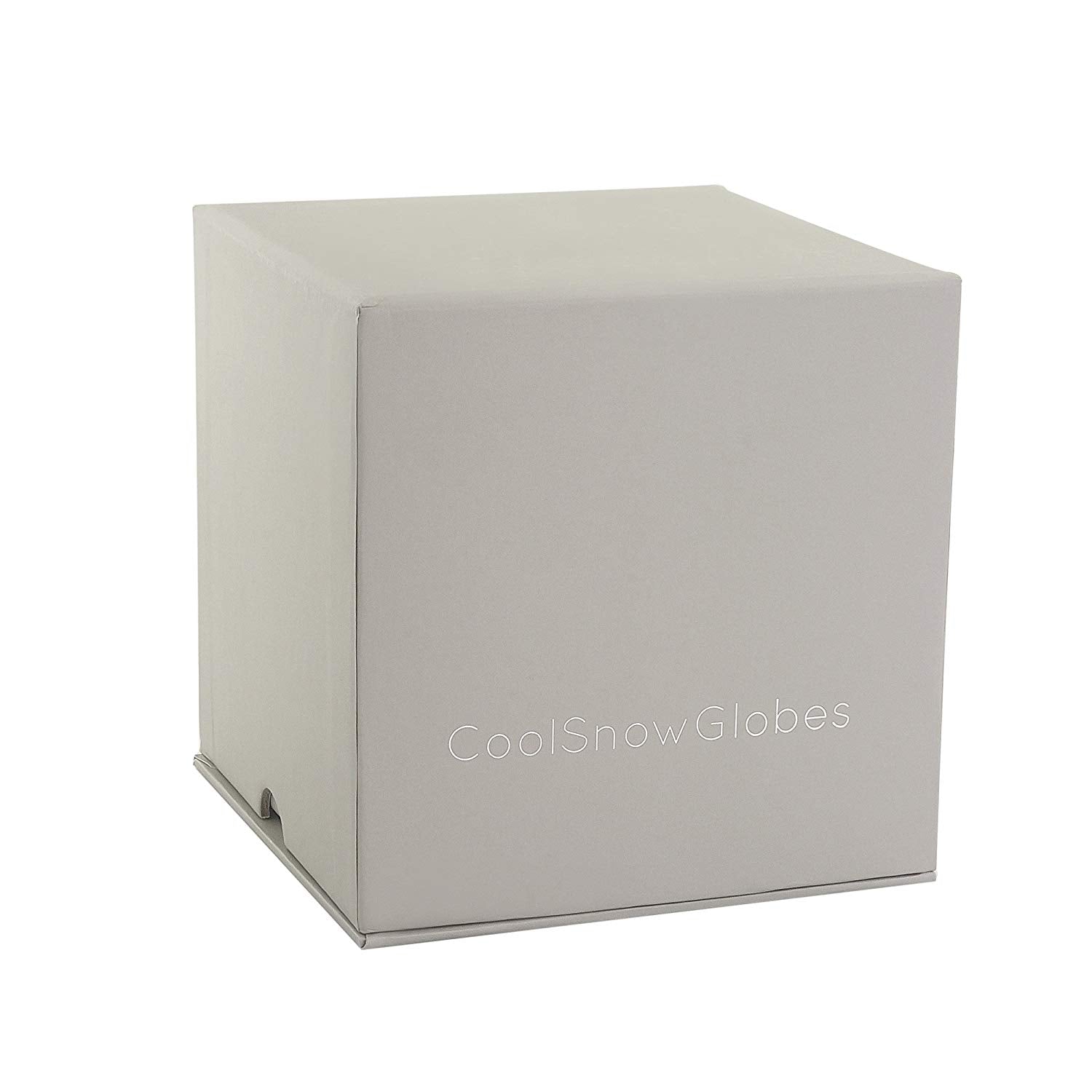 CoolSnowGlobes - Chickadee Snow Globe