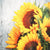 Sunflowers Paper Lunch Napkins | Putti Fine Furnishings Canada 