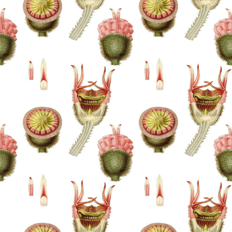 Water Lilies Gift Wrap Roll