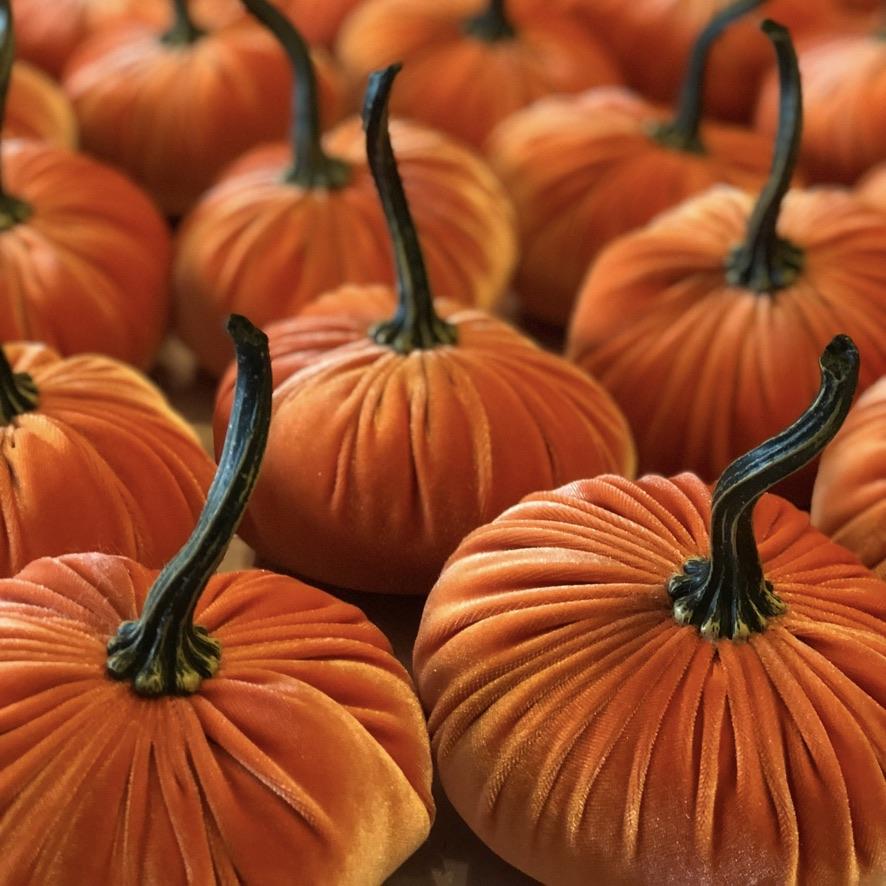 Large Velvet Pumpkin - Harvest | Putti Fine Furnishings Canada