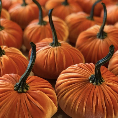 Large Velvet Pumpkin - Harvest | Putti Fine Furnishings Canada