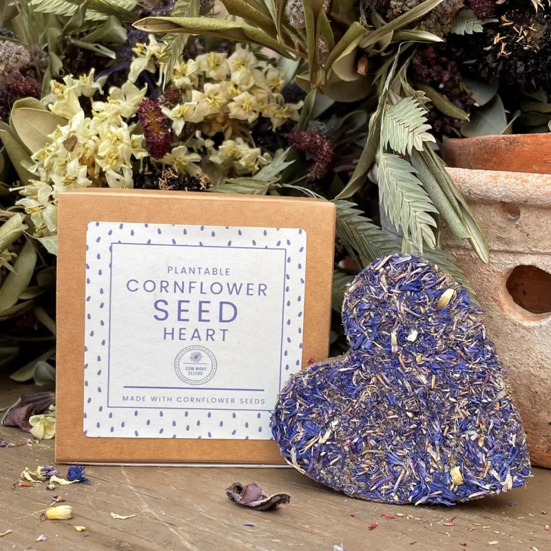 Seed Bomb Heart Gift Box - Blue Cornflowers