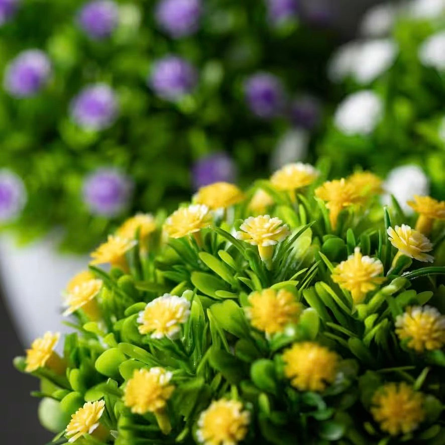 Button Flower in White Pot