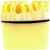 Bomb Cosmetics "Lemon Meringue" Soap Slice | Le Petite Putti 