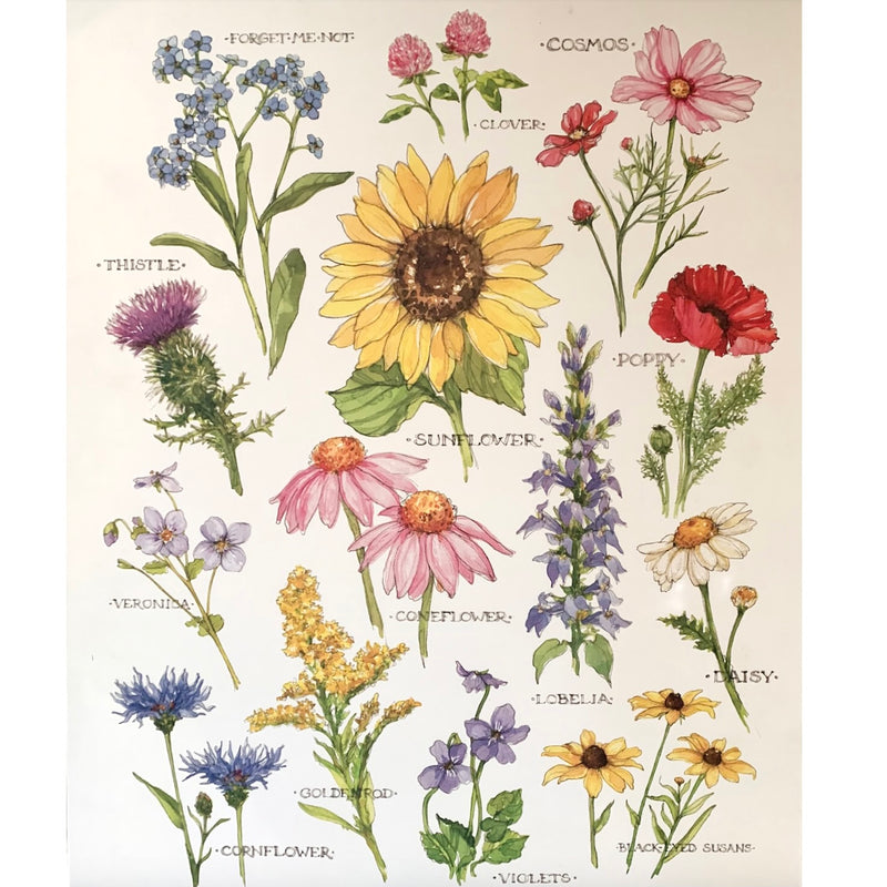 Wildflower Study Canvas Artwork
