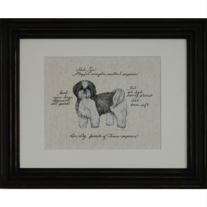 "Shih Tzu Grey Puppy Cut" Dog Breeds Framed Print