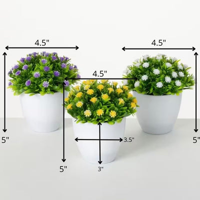 Button Flower in White Pot