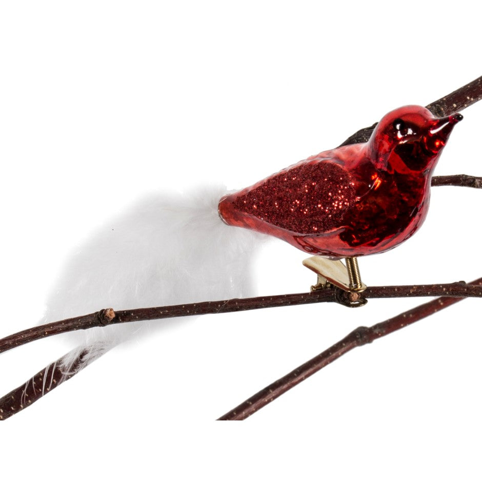Red with White Feather Tail Glass Bird Ornament | Putti Christmas Decorations