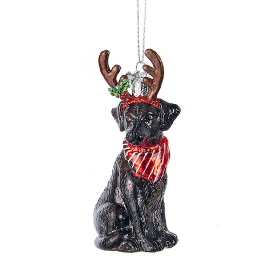 Kurt Adler Black Labrador with Antlers Glass Ornament