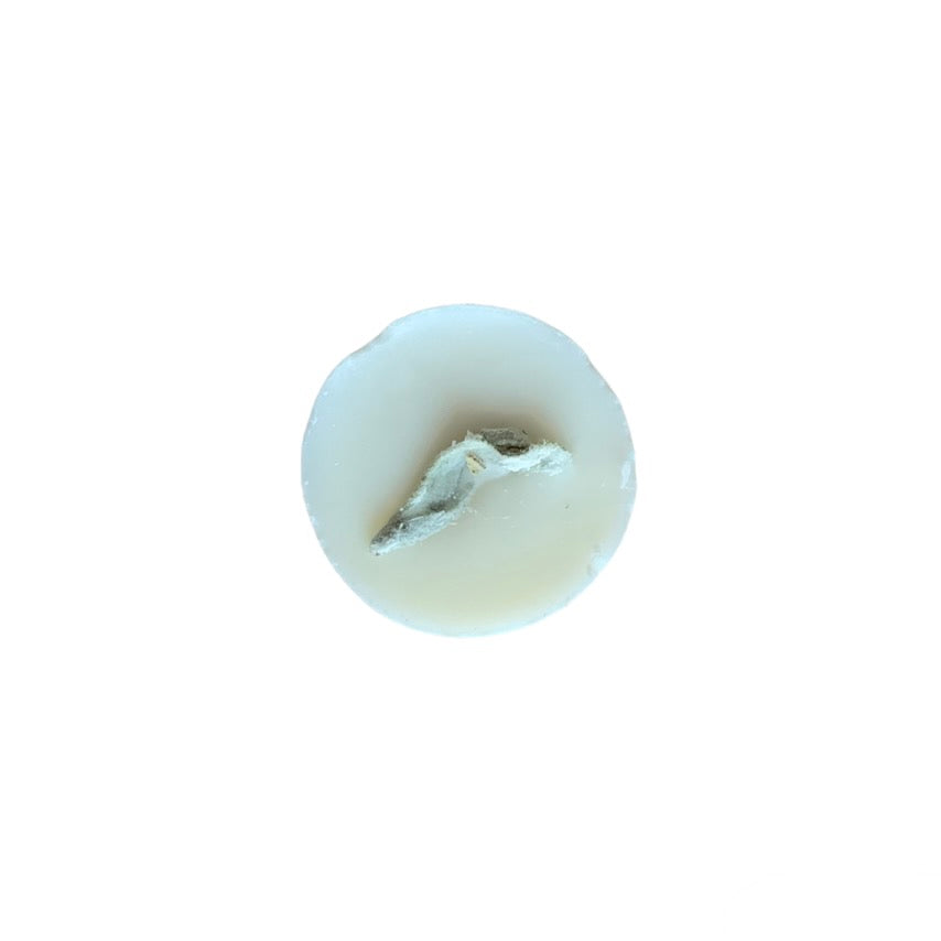 Summer Soy Wax Melt Tube Collection - 10 Assorted