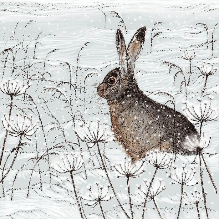 Fay's Studio Hare Greeting Card | Putti Fine Furnishings