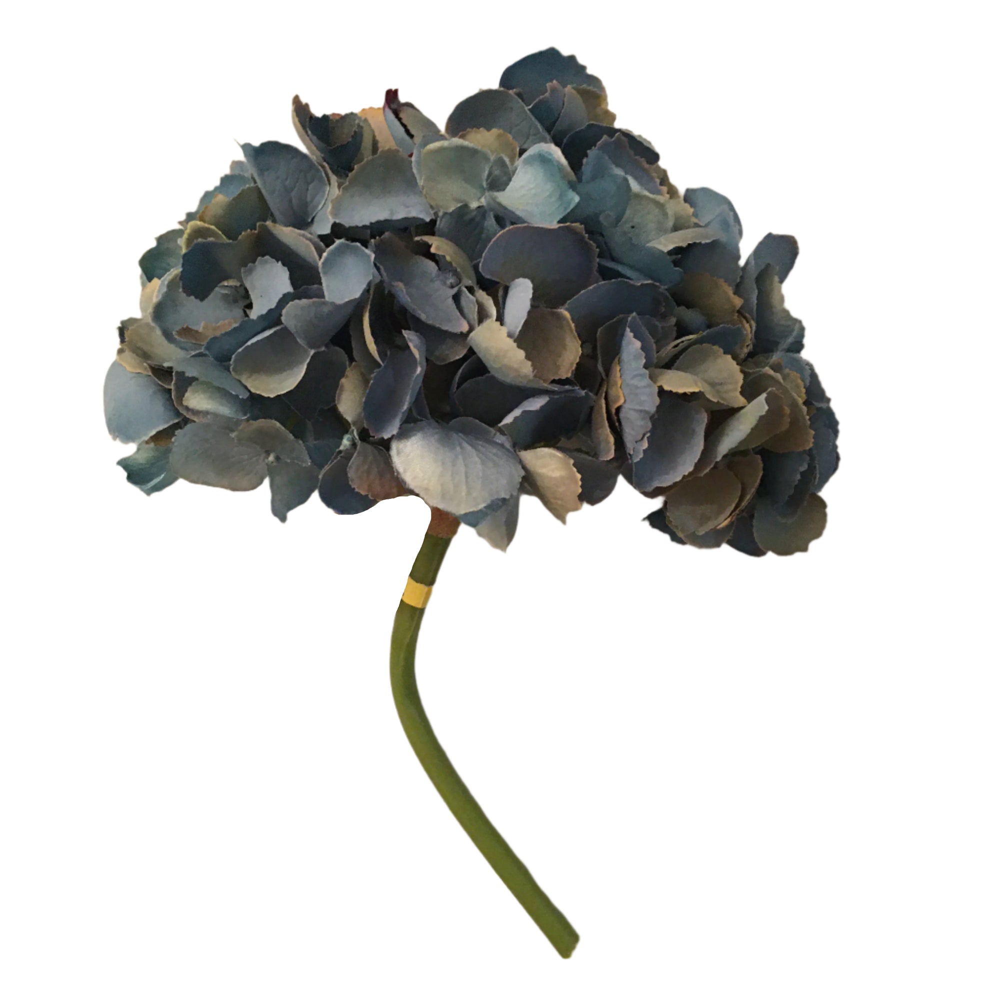Blue Hydrangea Head Stem