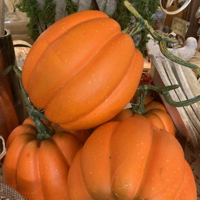 Decorative Pumpkin | Putti Celebrations Canada