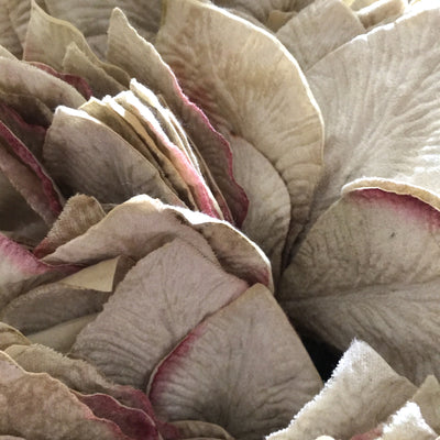 Miss Rose Sister Violet Velvet Leaves - Pale Ivory Green, MRSV-Miss Rose Sister Violet, Putti Fine Furnishings