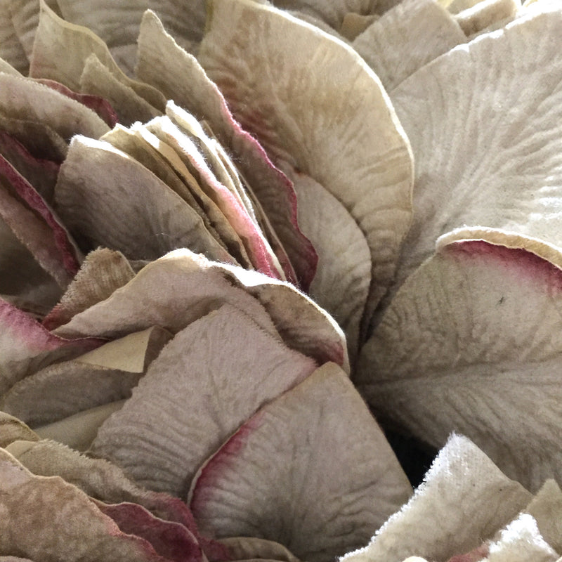 Miss Rose Sister Violet Velvet Leaves - Pale Ivory Green, MRSV-Miss Rose Sister Violet, Putti Fine Furnishings