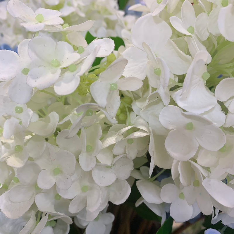 White Fresh Touch Hydrangea Stem