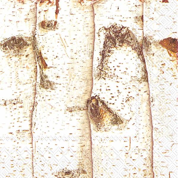 Birch Paper Napkin - Beverage, IHR-Ideal Home Range - Carsim, Putti Fine Furnishings