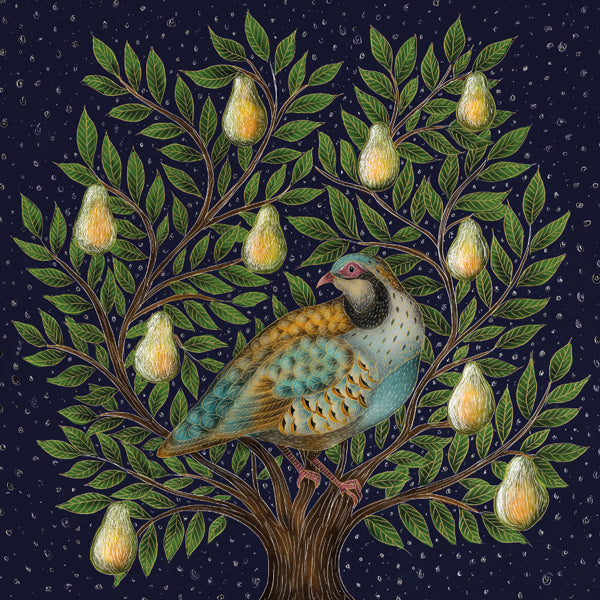 The Art File Partridge in a Pear Tree Boxed Greeting Card | Putti Christmas