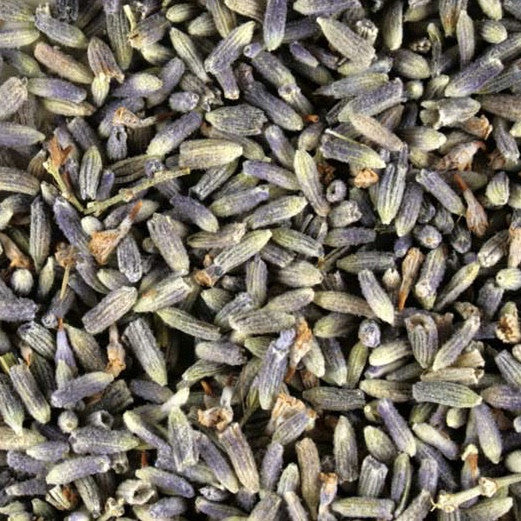 Lavender by the Scoop | Putti Fine Furnishings Canada