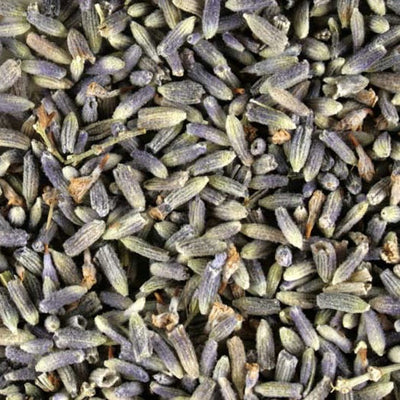 Lavender by the Scoop | Putti Fine Furnishings Canada