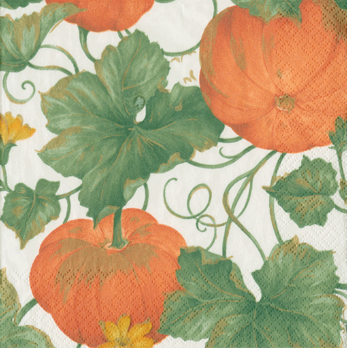 Orange Heirloom Pumpkins Paper Napkin - Lunch