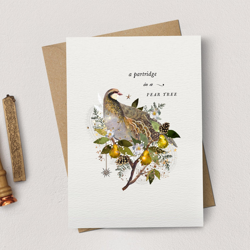 "a Partridge in a Pear Tree" Christmas Card Pack