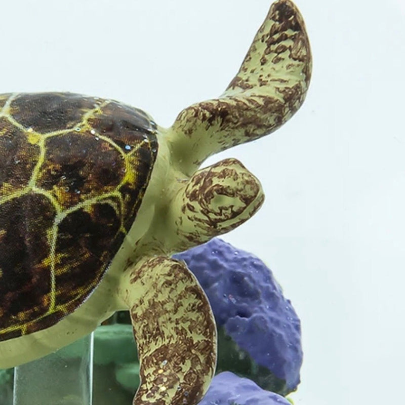 CoolSnowGlobes | Sea Turtle Cool Snow Globe | Putti Celebrations Canada