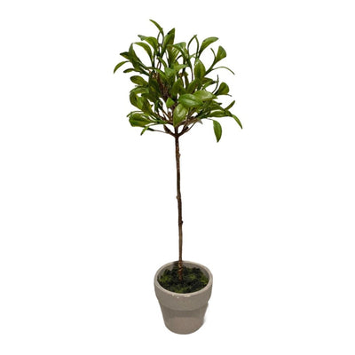 Sulivans Mini Leaf Topiary | Putti Fine Furnishings Canada